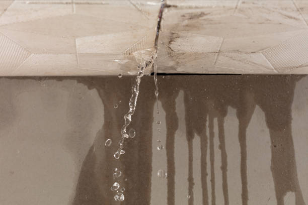 Professional Sewage Cleanup technician working in Little Suamico, WI